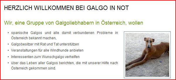 Info galgo-in-not.at 